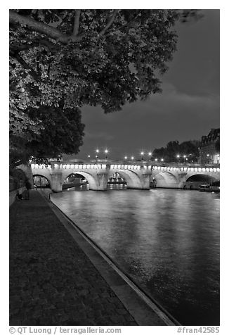 Ile de la Cite quay and illuminated Pont-Neuf. Paris, France (black and white)