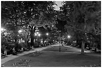 Park on the tip of Ile de la Cite at dusk. Paris, France ( black and white)