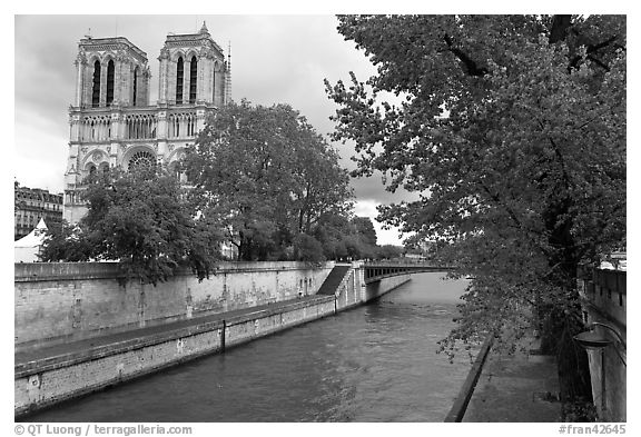 Seine and Notre-Dame facade in the spring. Paris, France (black and white)