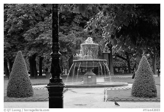 Cortot Fountain in park, place des Vosges. Paris, France (black and white)
