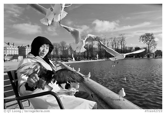 Elderly woman and seagulls, Tuileries garden. Paris, France