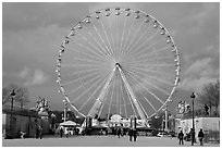 La grande roue from the Tuileries Garden. Paris, France (black and white)