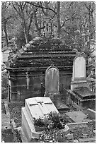 Mossy tombs, Pere Lachaise cemetery. Paris, France ( black and white)