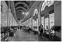 Passage Vivienne. Paris, France ( black and white)