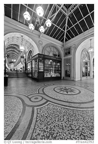 Mosaic, passage Vivienne. Paris, France (black and white)