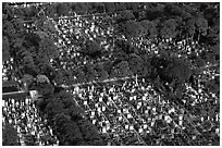 Cimetiere Montparnasse seen from the Montparnasse Tower. Paris, France ( black and white)