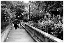 Alley borded by gardens, Montmartre. Paris, France ( black and white)