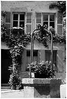 Flowers on a well, old  Vezelay. Burgundy, France (black and white)