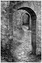 Gates inside the Sisteon Citadel. France ( black and white)