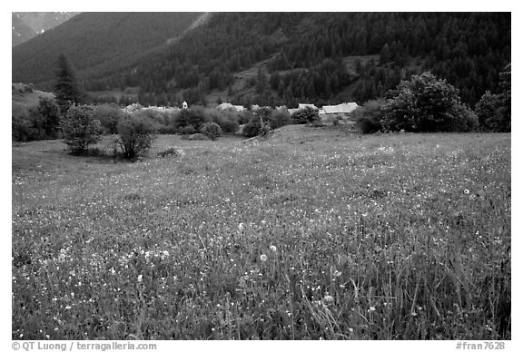 Meadow with wildflowers and village near Lautaret Pass. France