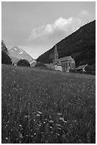 Meadow, Villar d'Arene village, ridge, sunset. France ( black and white)