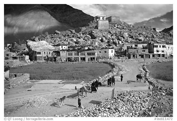 Padum, Zanskar, Jammu and Kashmir. India (black and white)