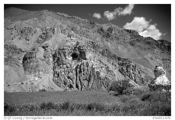 Cultivated fields, chorten, and Phuktal monastery, Zanskar, Jammu and Kashmir. India