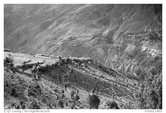 Verdant valley, Lahaul, Himachal Pradesh. India (black and white)