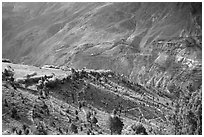 Verdant valley, Lahaul, Himachal Pradesh. India (black and white)