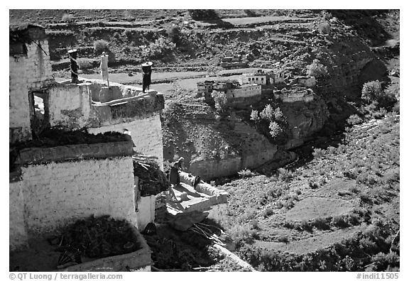 Gompa with monk on balcony overlooking verdant village, Zanskar, Jammu and Kashmir. India