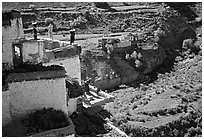 Gompa with monk on balcony overlooking verdant village, Zanskar, Jammu and Kashmir. India (black and white)