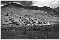 Field of barley grasses, village, and hills, Zanskar, Jammu and Kashmir. India ( black and white)