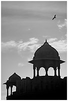 Bird and wall pavilions of Red fort, sunrise. New Delhi, India (black and white)