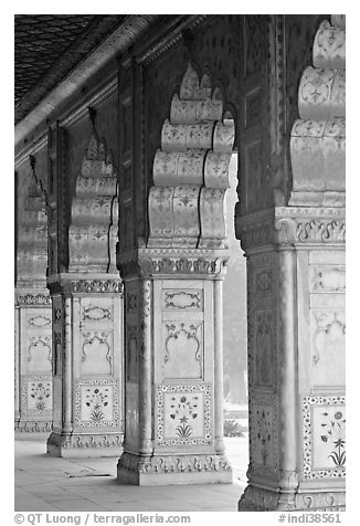 Marble columns,  Royal Baths, Red Fort. New Delhi, India (black and white)