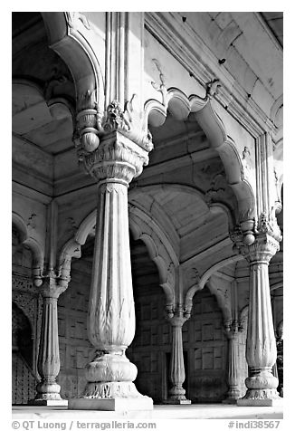 Thin columns, Khas Mahal, Red Fort. New Delhi, India (black and white)