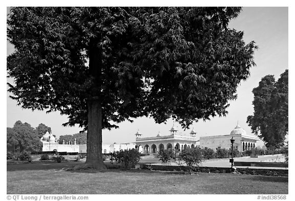 Courtyard garden with  Diwan-i-Khas, Hammans, Moti Masjid. New Delhi, India (black and white)