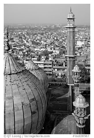 Domes and Minaret from above, Jama Masjid. New Delhi, India (black and white)