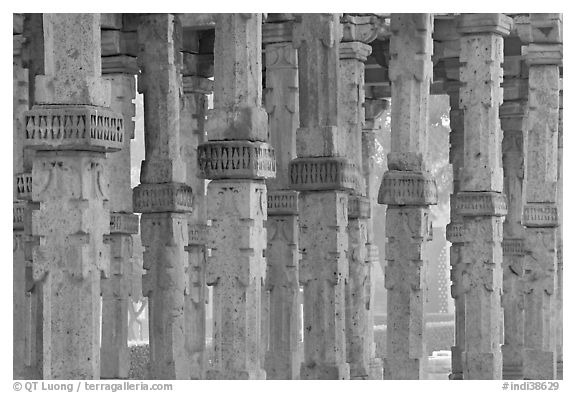 Colons, Qutb complex. New Delhi, India (black and white)