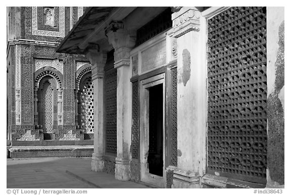 Detail of tomb of Imam Zamin and  Alai Darweza gate, Qutb complex. New Delhi, India