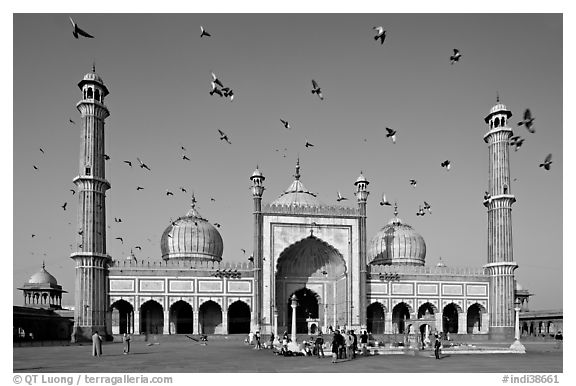 Jama Masjid with pigeons flying. New Delhi, India (black and white)