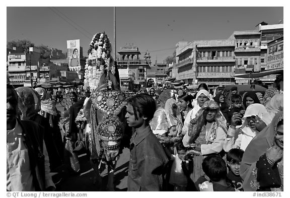 Wedding procession with flower-covered groom on horse. Jodhpur, Rajasthan, India (black and white)