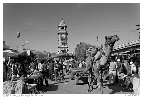 Camel and clock tower in Sardar Market. Jodhpur, Rajasthan, India