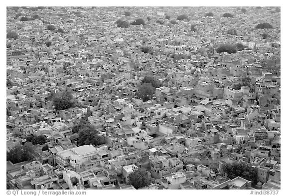 Whitewashed indigo tinted houses seen from above at dusk. Jodhpur, Rajasthan, India (black and white)