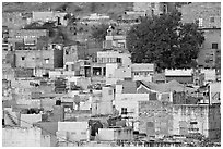 Old quarter houses at dawn. Jodhpur, Rajasthan, India (black and white)