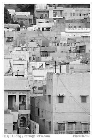 Old town houses with various shades of indigo. Jodhpur, Rajasthan, India (black and white)