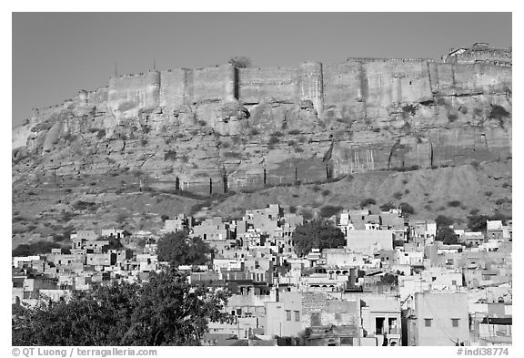 Houses and Mehrangarh Fort, morning. Jodhpur, Rajasthan, India
