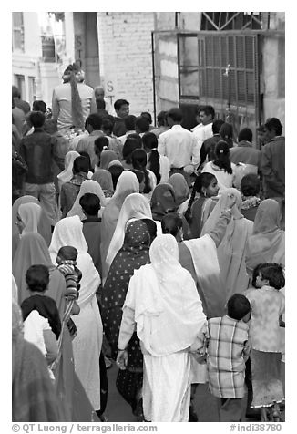 Women following groom during wedding. Jodhpur, Rajasthan, India (black and white)