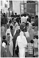 Women following groom during wedding. Jodhpur, Rajasthan, India (black and white)