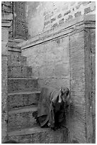 Goat covered with blanket on a blue entrance steps. Jodhpur, Rajasthan, India (black and white)