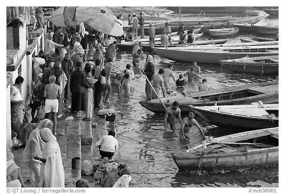 Ritual dip into the Ganga River. Varanasi, Uttar Pradesh, India (black and white)