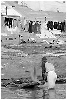 Man beating dirt out of laundry on Ganges riverbank. Varanasi, Uttar Pradesh, India ( black and white)