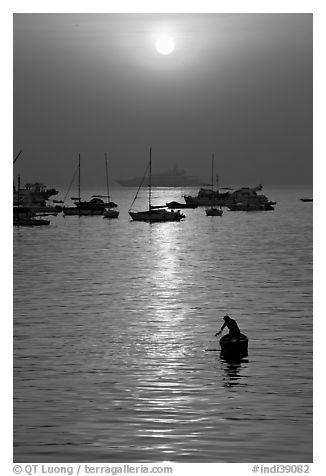 Man fishing from rowboat and anchored yachts, sunrise. Mumbai, Maharashtra, India (black and white)