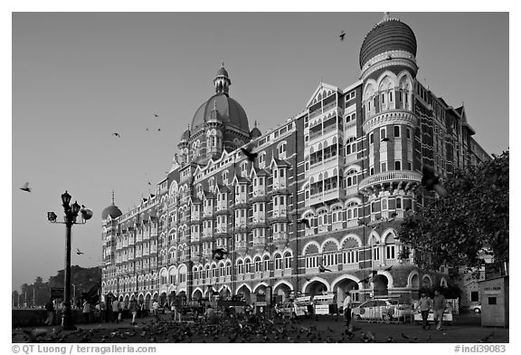 Taj Mahal Palace Hotel and pigeons. Mumbai, Maharashtra, India (black and white)