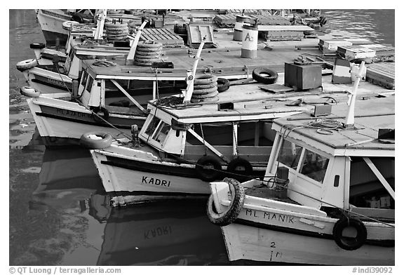 Tour boats. Mumbai, Maharashtra, India