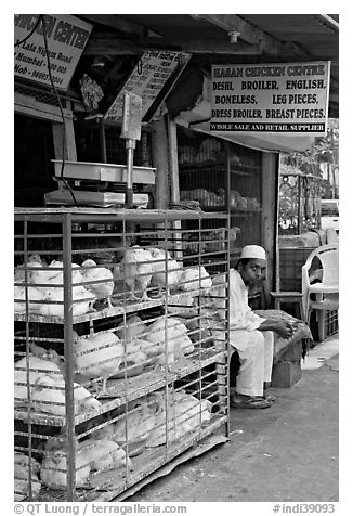 Chicken vendor, Colaba Market. Mumbai, Maharashtra, India