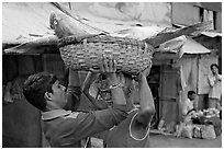 Men unloading basket with huge fish from head, Colaba Market. Mumbai, Maharashtra, India (black and white)