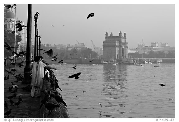 Woman feeding birds, with Gateway of India in background, early morning. Mumbai, Maharashtra, India