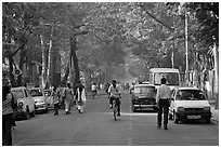 Tree-lined street, Colaba. Mumbai, Maharashtra, India (black and white)