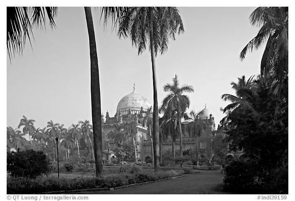 Gardens of Prince of Wales Museum. Mumbai, Maharashtra, India (black and white)