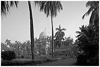 Gardens of Prince of Wales Museum. Mumbai, Maharashtra, India ( black and white)